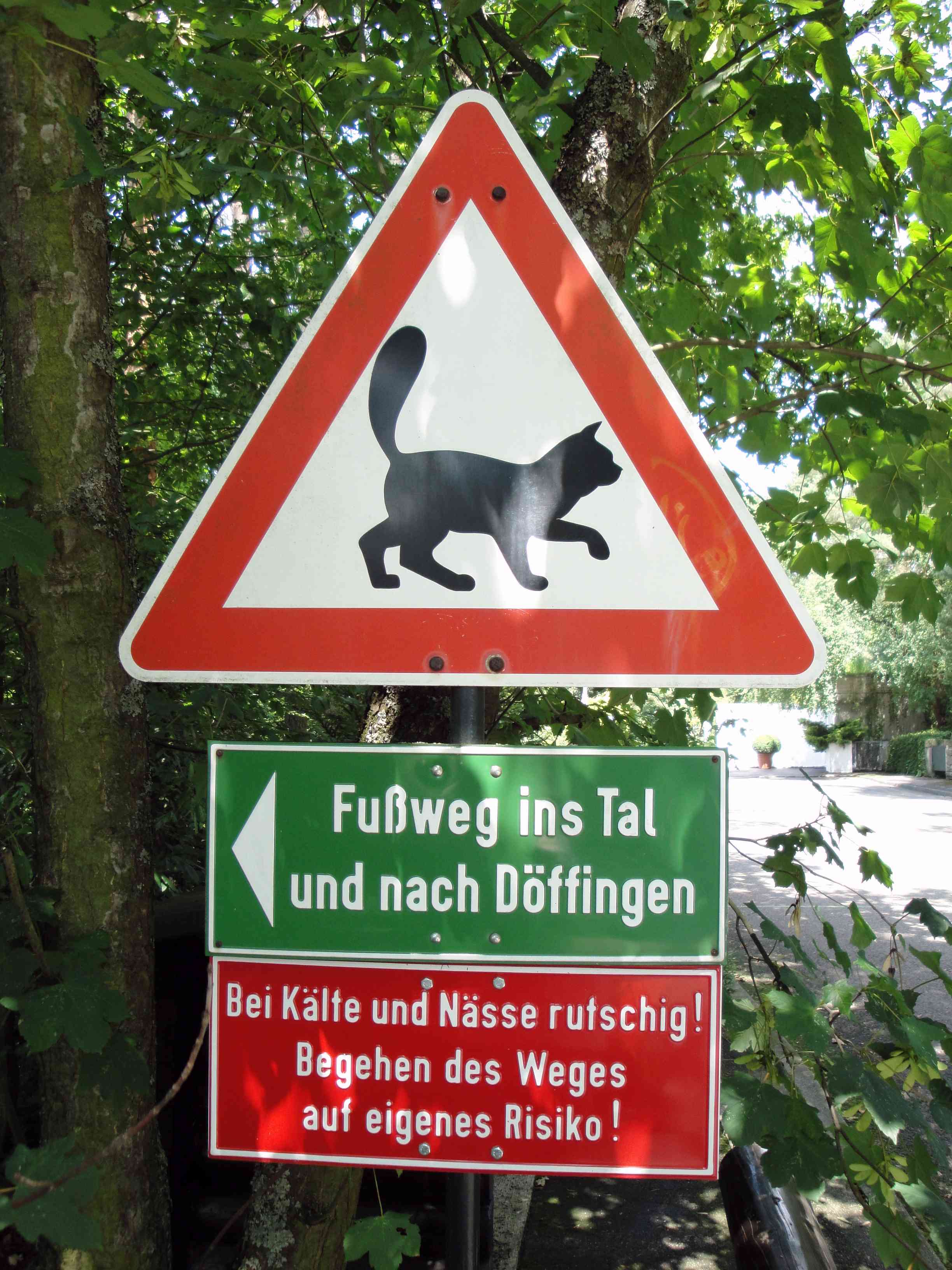 Achtung Katze