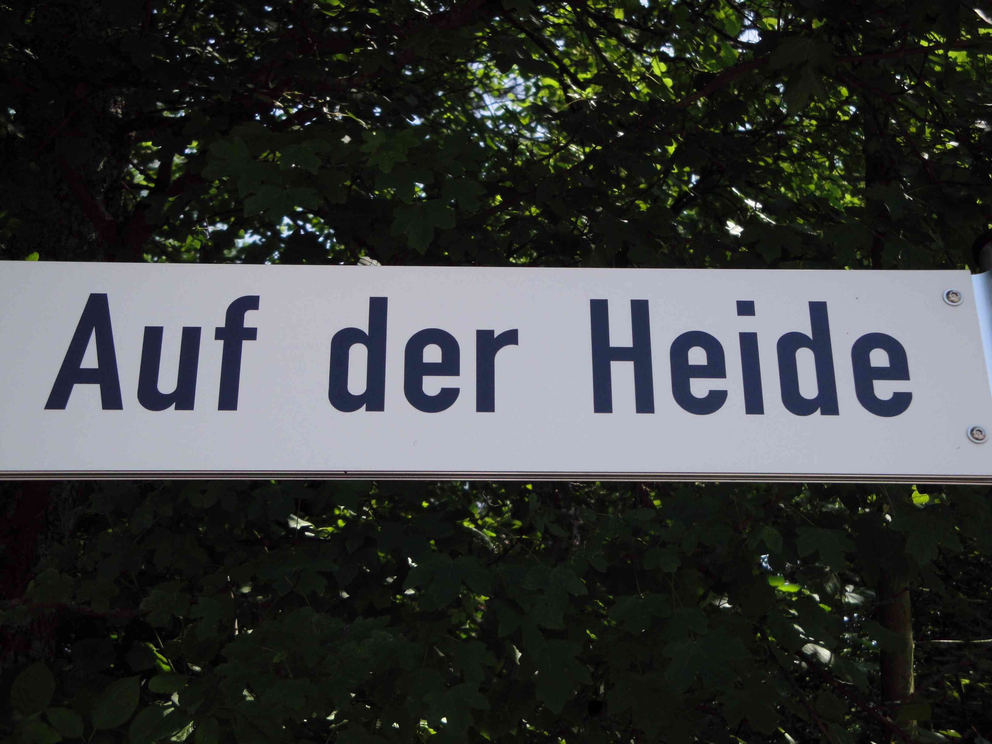 Auf der Heide_neu
