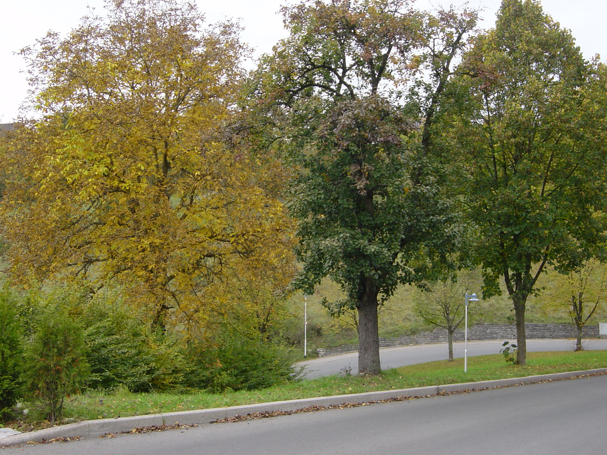 Auffahrt Kapellenberg