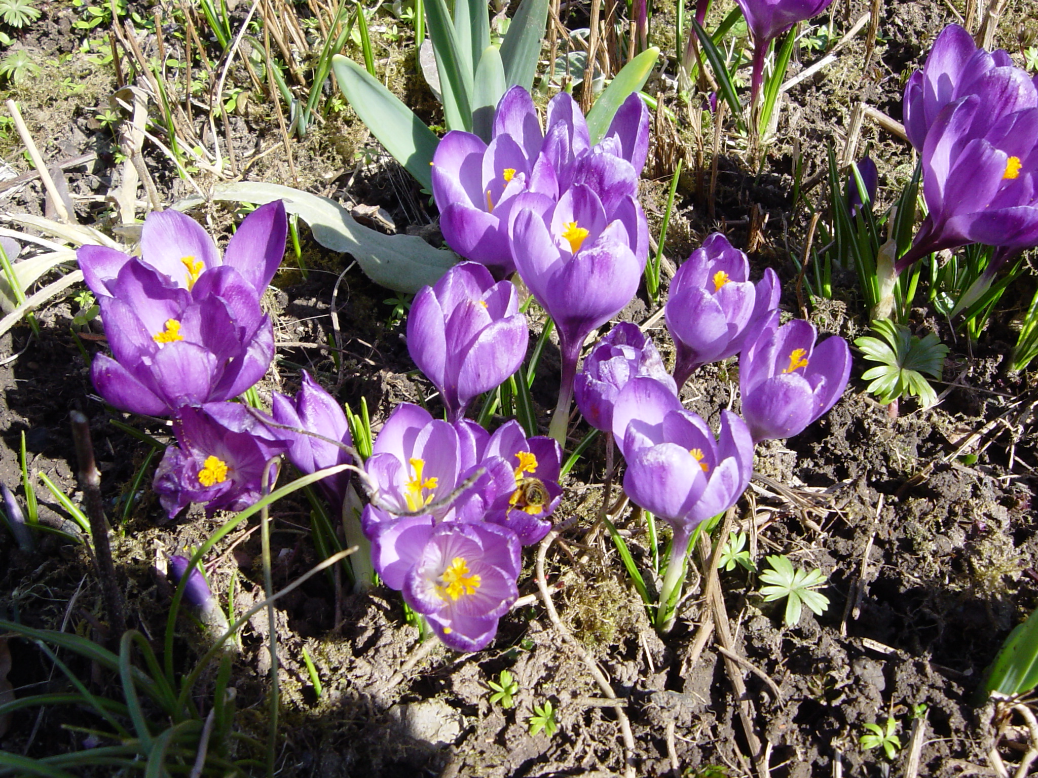 DSC00957
