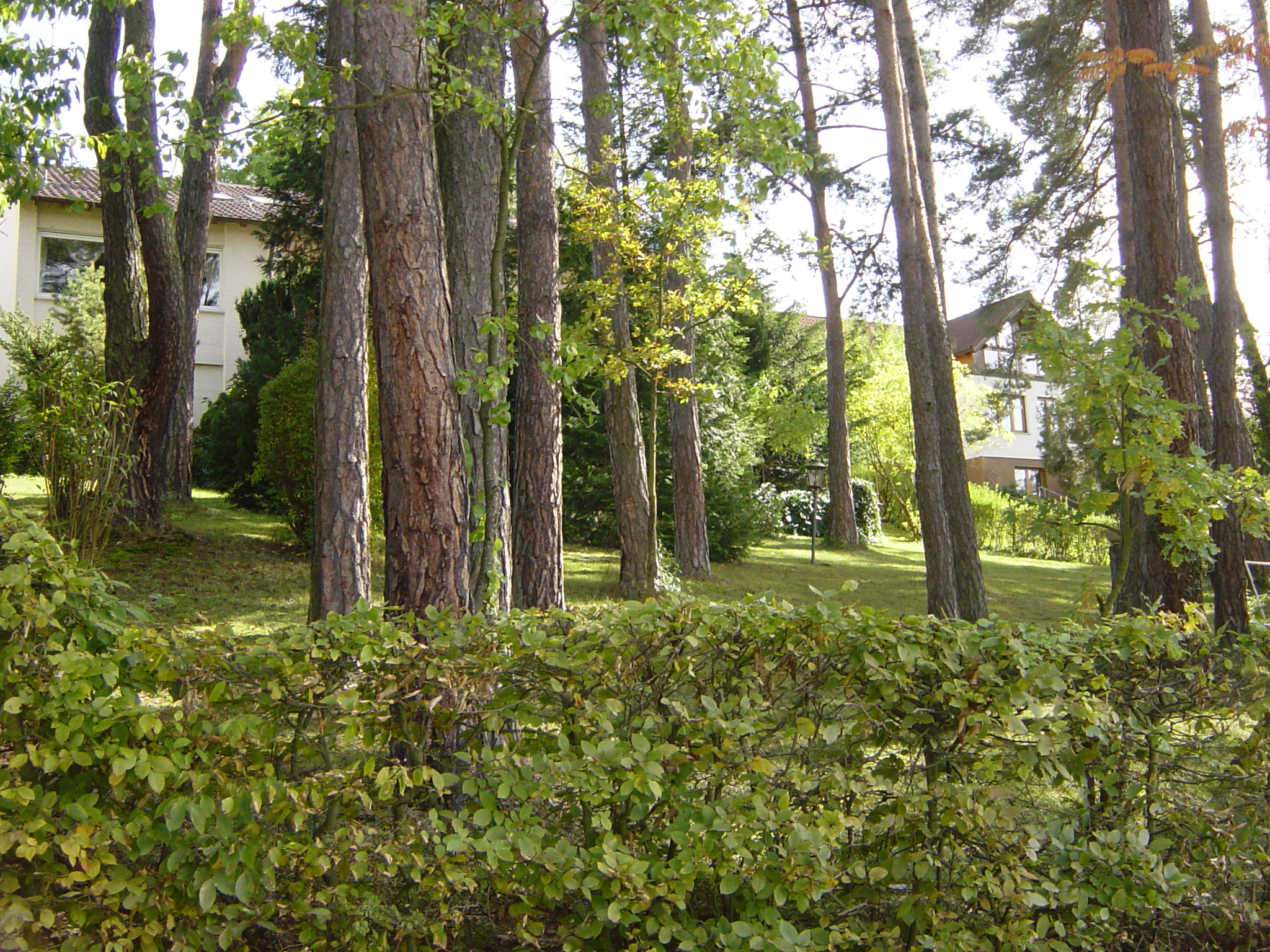 Gartenlanschaft_01