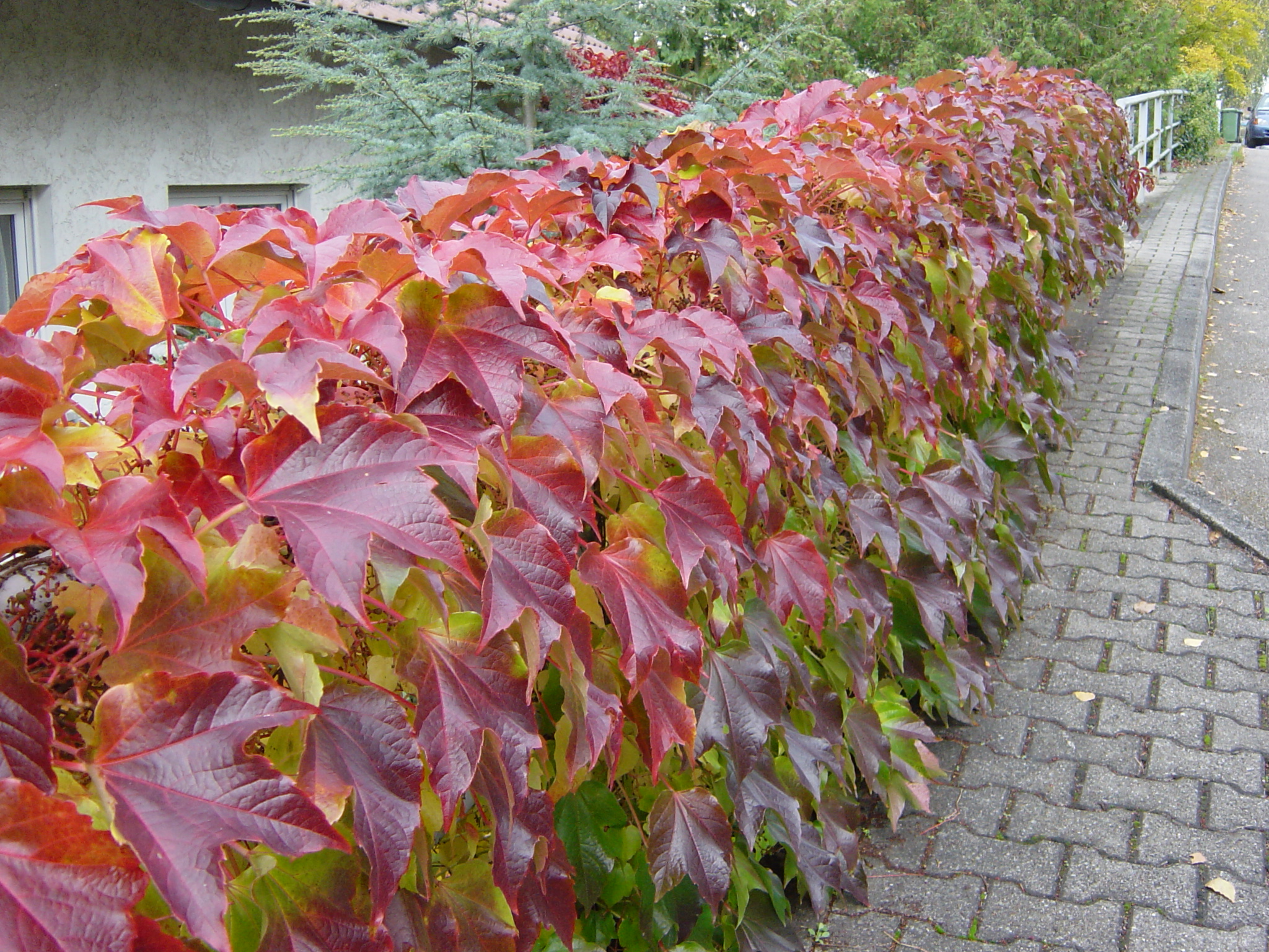 Herbststimmung
