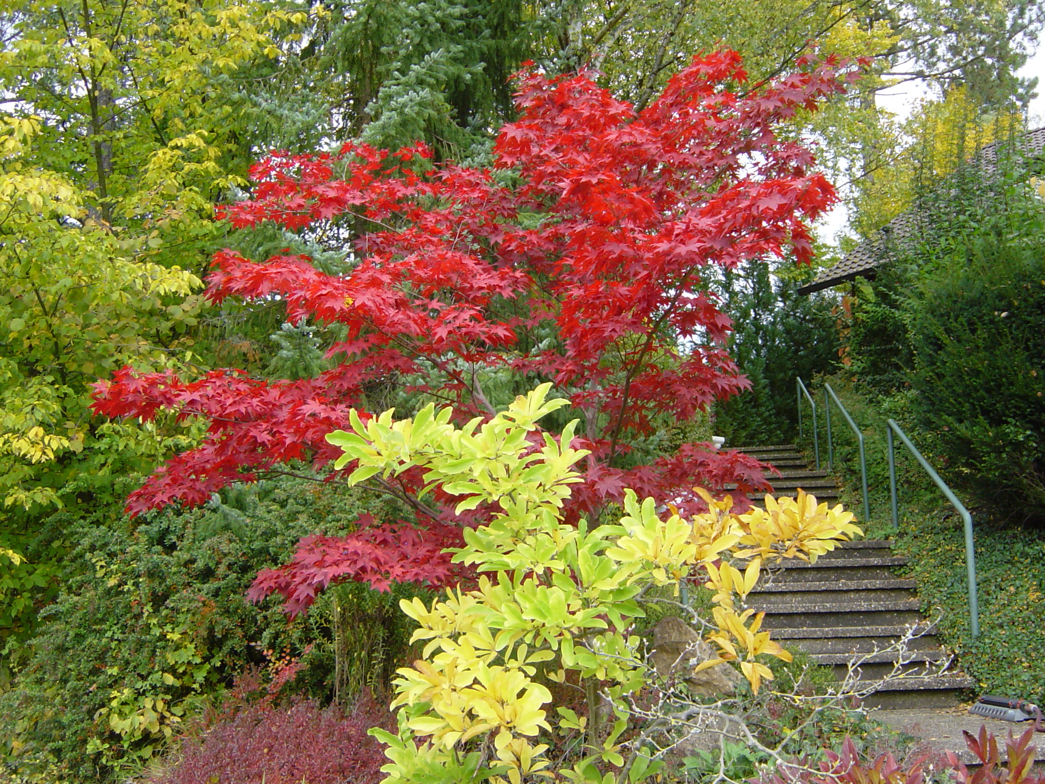 Herbststimmung_01