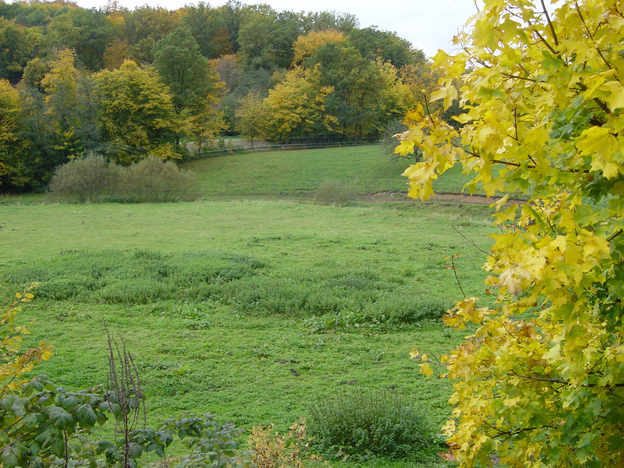 Herbststimmung_03
