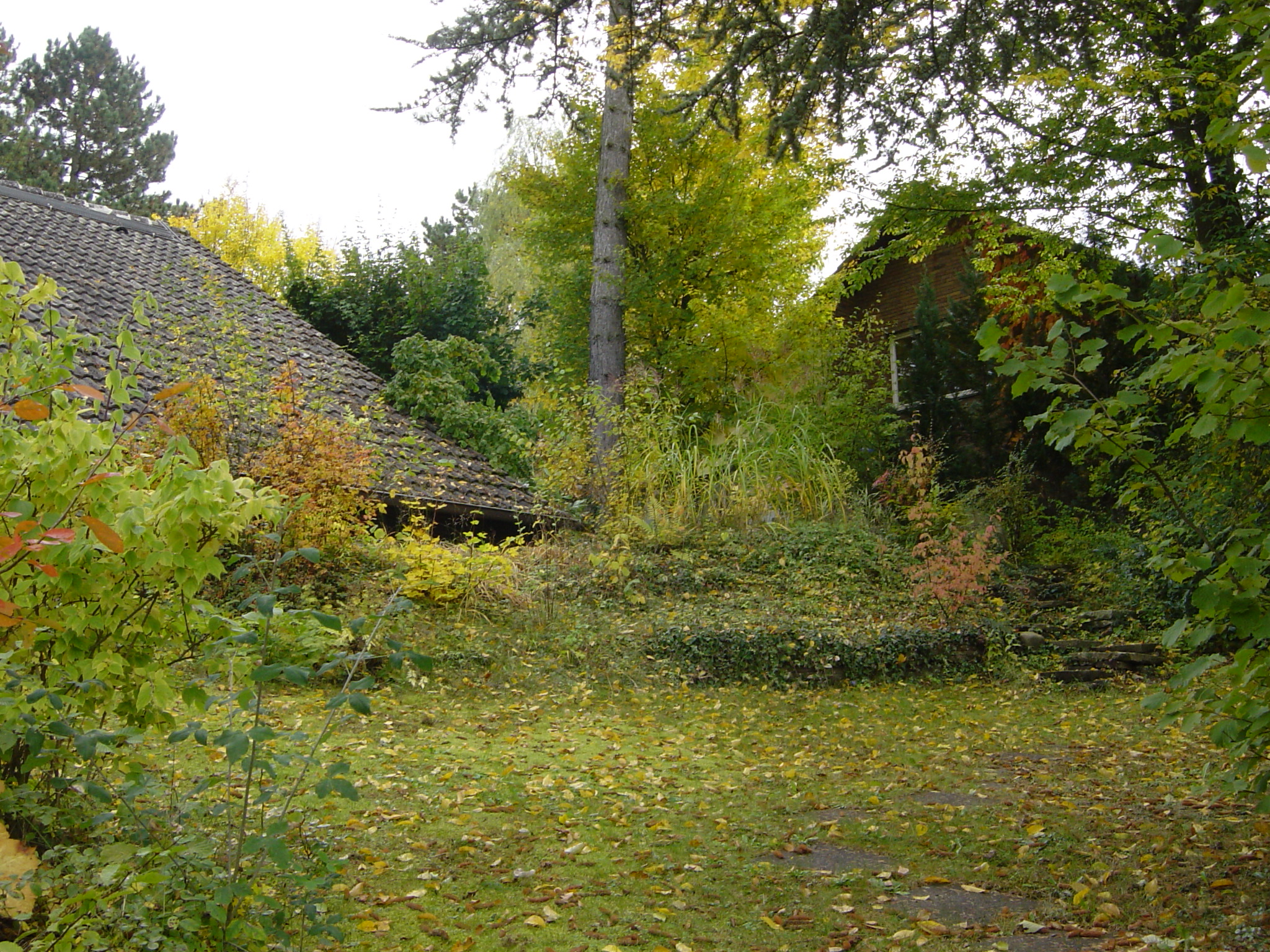 Hinter Lehen_02