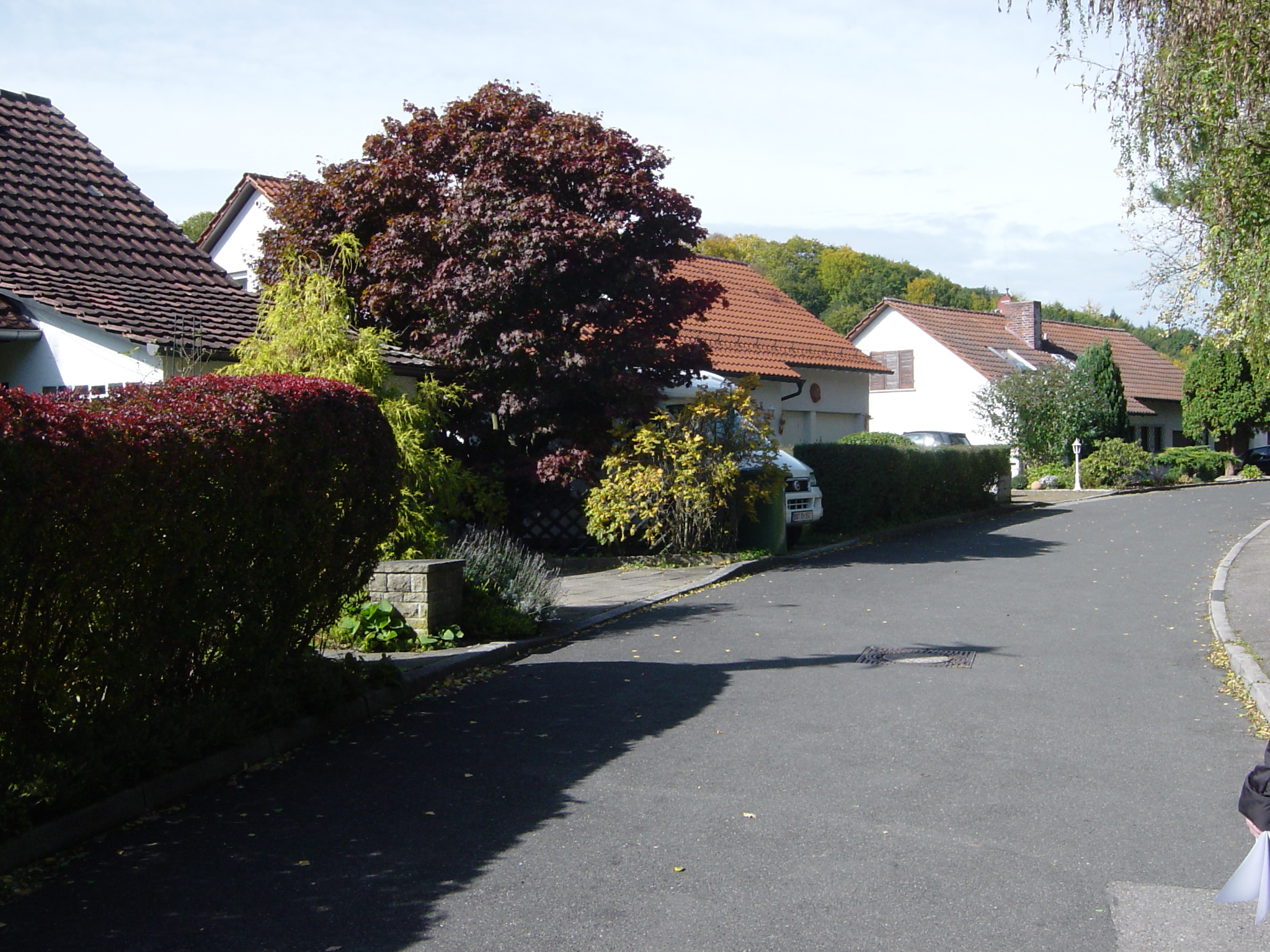Hinter Lehen_04