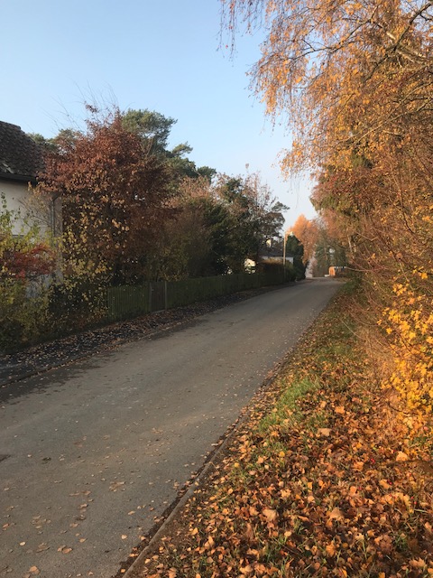 Turmstr. und Umgebung_3