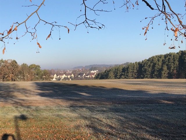Turmstr. und Umgebung_6