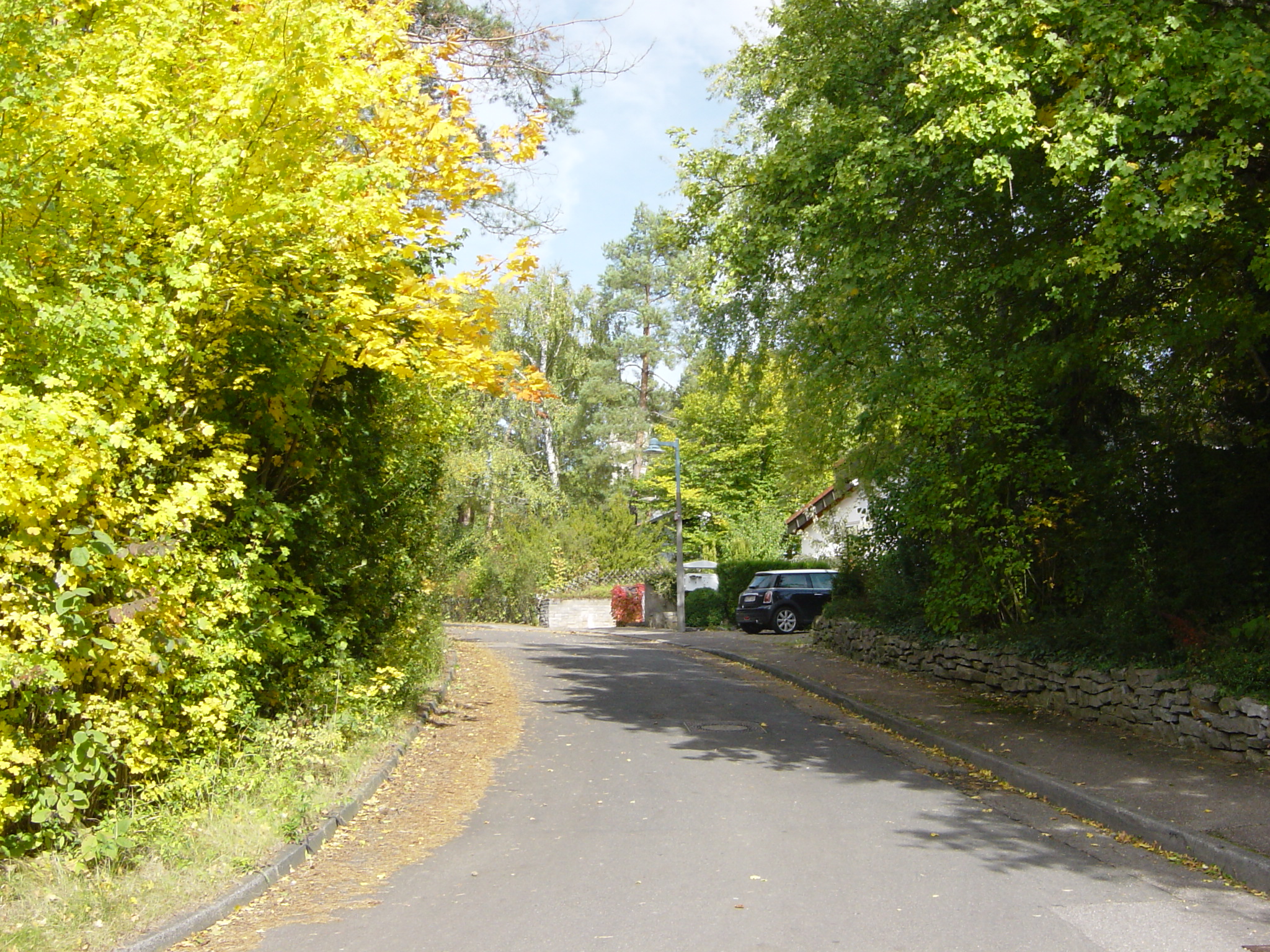 Wacholderweg_01