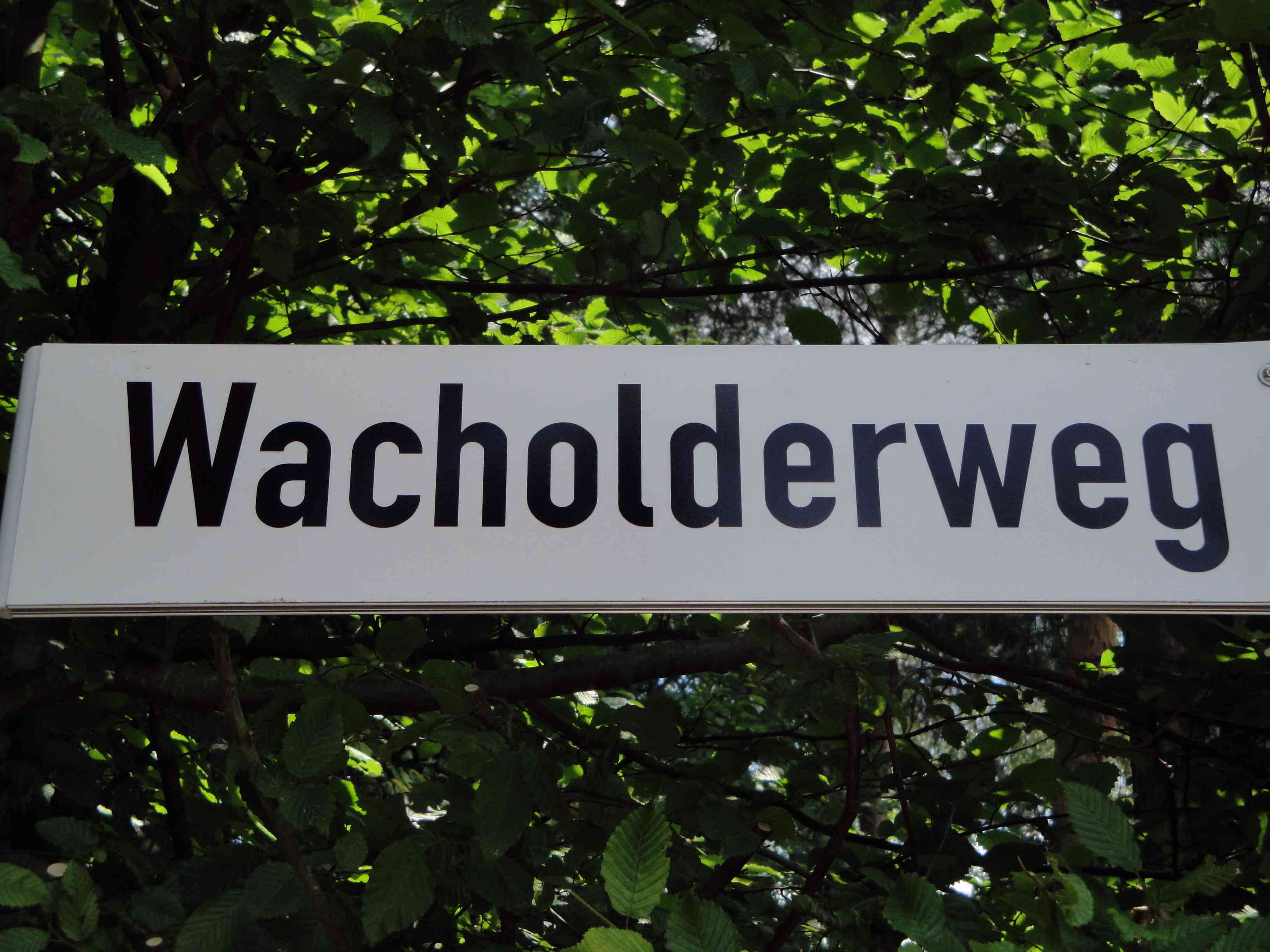 Wacholderweg_neu